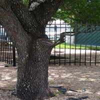 Портфолио James John